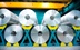 distributor