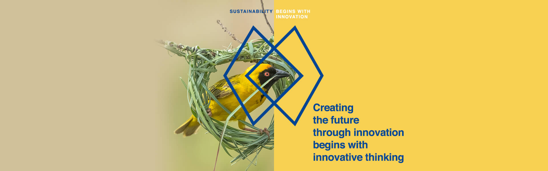 Sustainability begins with innovation