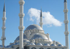 Mosque Domes